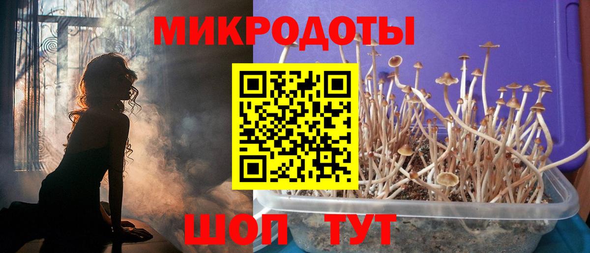 как найти   Вход с VPN  Новочеркасск  Галлюциногенные грибы мухоморы 